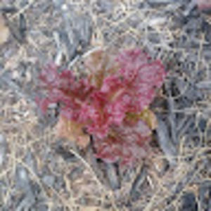 Meet your Posher, Travis